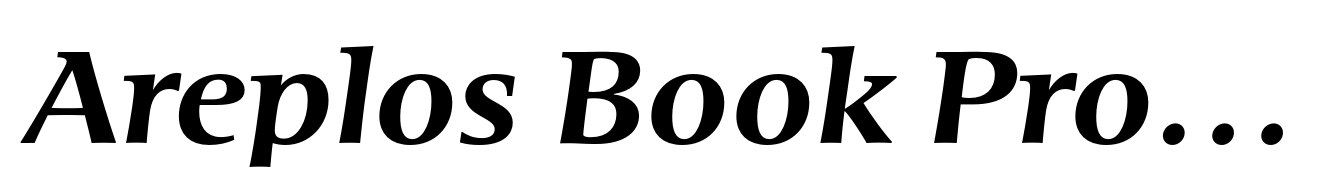 Areplos Book Pro Bold Italic